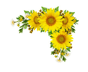 Obraz premium Sunflowers and wild flowers in a summer corner arrangement isolated on white or transparent background