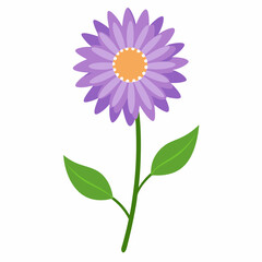  Aster flower with leaves vector artwork