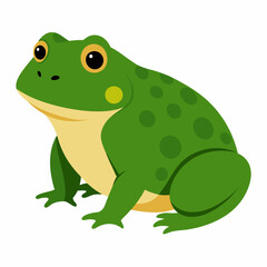 American Bull frog vector artwork