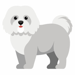 Bolognese dog vector artwork
