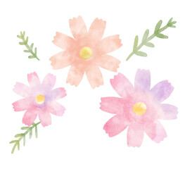 シンプルな複数のコスモス　水彩　ピンク