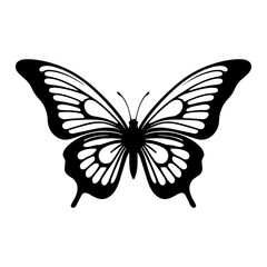 butterfly silhouette vector