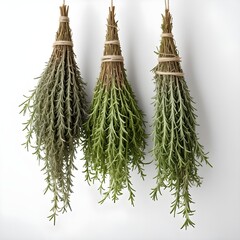 Rosemary and thyme herbs hanging upside down to dry, isolated on a white background