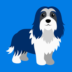  Havanese dog vector illustration