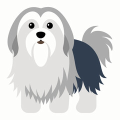  Lhasa Apso dog vector artwork