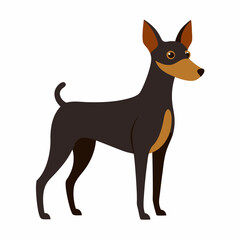  Miniature Pincher dog vector artwork
