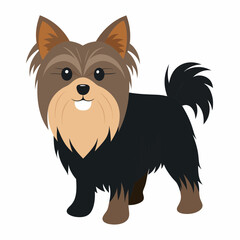 Yorkshire Terrier Dog vector artwork