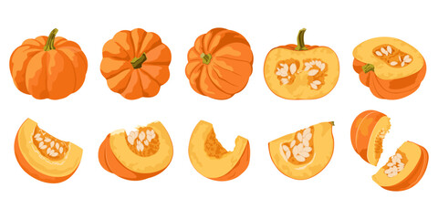 Collection of pumpkin slices. Flat vector hand drawn pumpkin from different sides