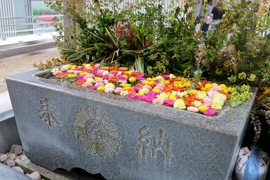 Iwanuma, Miyagi Prefecture, Japan, August 14, 2024.The scenery around Kinhebi-sui Shrine.