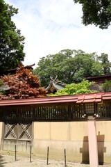 Iwanuma, Miyagi Prefecture, Japan, August 14, 2024.The scenery around Kinhebi-sui Shrine.