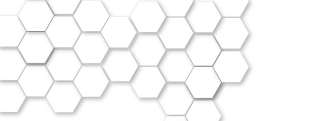 Abstract white hexagonal geometric background with shadow. Luxury white 3D futuristic honeycomb mosaic white background. Abstract white lines background. Vector Illustration.