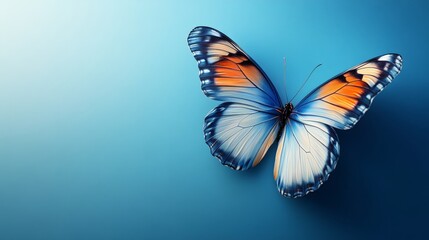 A butterfly is on a blue background