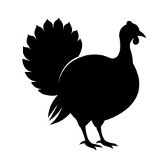 Fototapeta premium silhouette of a turkey chicken
