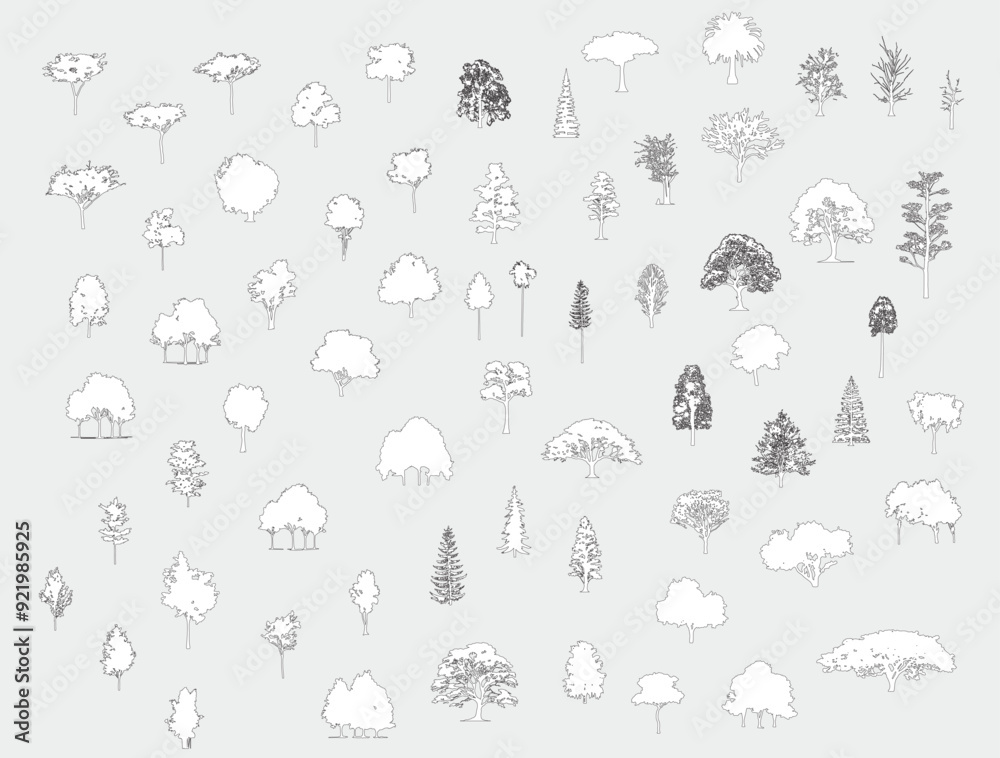 Poster Minimal style cad tree line drawing, Side view, set of graphics trees elements outline symbol for architecture and landscape design drawing. Vector illustration in stroke fill in white. Tropical, oak