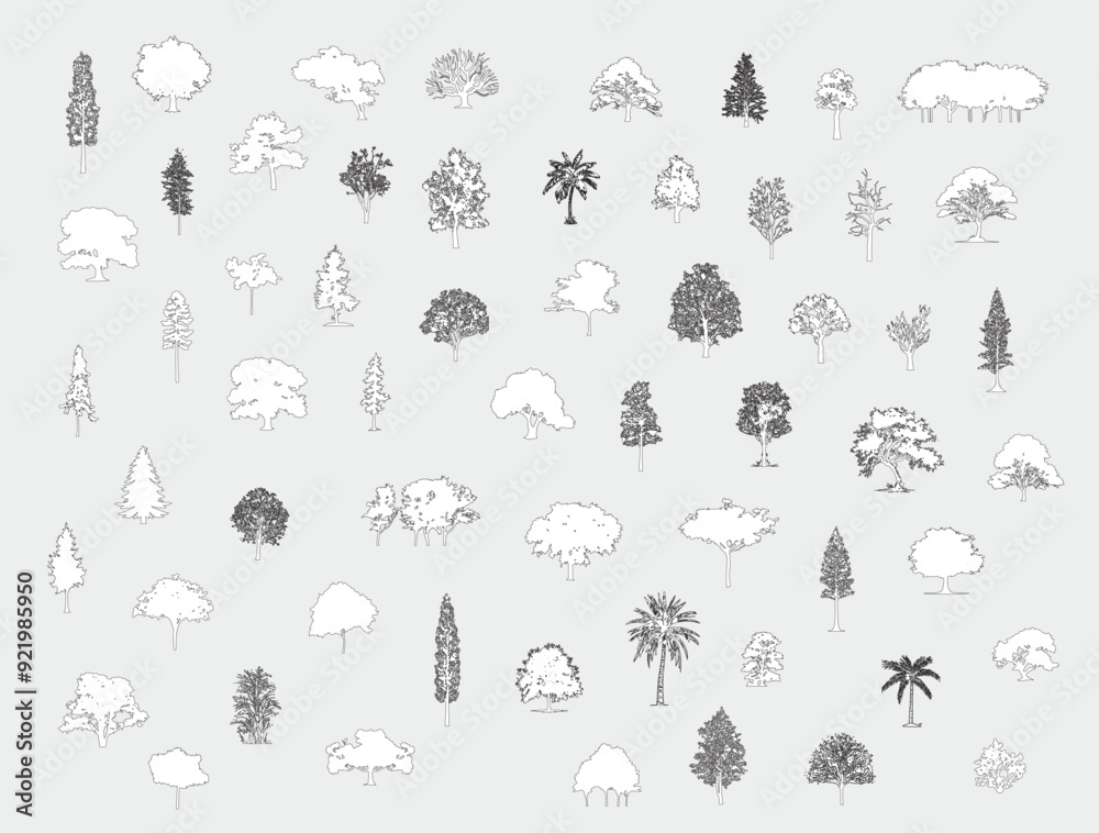 Poster Minimal style cad tree line drawing, Side view, set of graphics trees elements outline symbol for architecture and landscape design drawing. Vector illustration in stroke fill in white. Tropical, oak