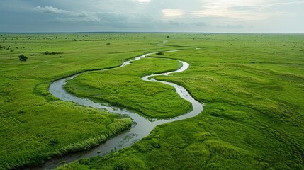 A vast grassland with pathways created by animals, the natural patterns adding texture to the...