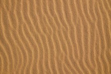 A sandy background with a wave pattern. The sand is brown and the wave pattern is wavy