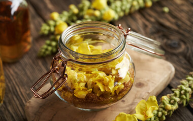 Preparation of herbal syrup from fresh mullein or Verbascum flowers and brown sugar in a glass jar