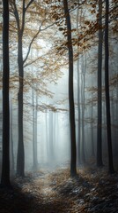 Sunrays filtering through foggy autumn forest creating mystical atmosphere