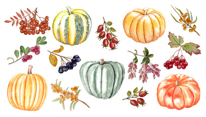 Autumn set of pumpkins and rose hips viburnum rowan sea buckthorn cranberries, isolated on white background, watercolor illustration, for card invitation design