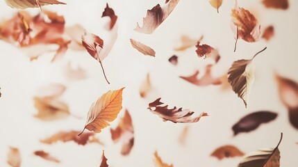Autumn leaves falling gracefully, creating a warm, natural ambiance.