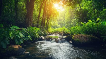 Fototapeta premium Tranquil river flowing through lush green forest
