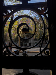 Espiral de hierro forjado de una puerta