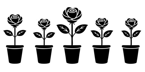 Set of rose flower plant in a pot icons silhouette vector art style illustration

