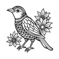 Bird Coloring Page Flowers Line Art Design