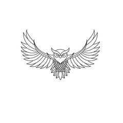 owl with wings