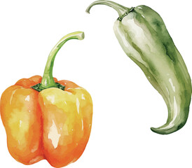 Vector Watercolor vegetables, clipart, bell pepper, orange pepper, green pepper. Illustrations for creative cooking, invitation, greeting cards, birthday, event, holiday, menu; cooking class; Master C