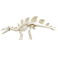 3D dinosaur skeleton is a three-dimensional visual representation of dinosaur bones. This icon is often used to represent prehistoric, paleontological, or evolutionary concepts. © FikkyAngga