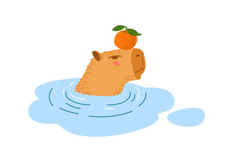 Capybara swims in pond. Animal takes bath with pleasure isolated on white background. Cute funny cartoon character, Rodent in water. Largest rodent in world. Hydrochoerus hydrochaeris.