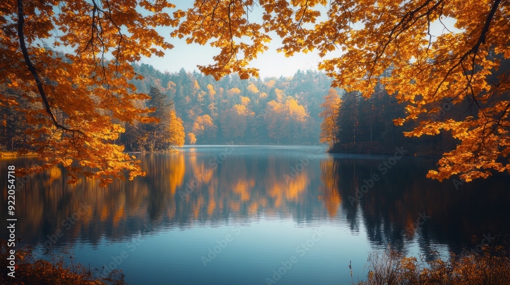 Poster a beautiful lake with a forest in the background