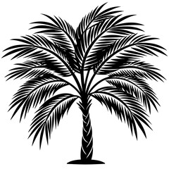 Areca palm plant silhouette vector illustration