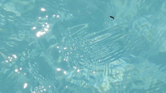 vue d'une piscine, en gros plan