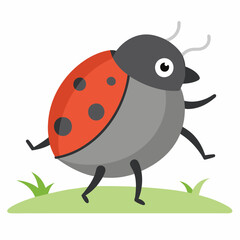 As grey lady beetle vector art walking in field vector illustration 