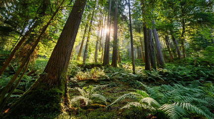 Green grass, wildflowers, and a few trees dotting the landscape