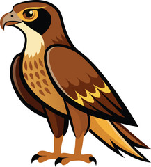 A hawk stands on the ground 