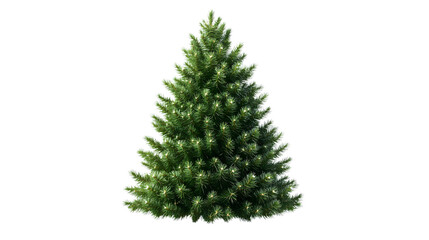 Realistic Christmas tree illustration for Xmas cards, New year party posters for 2025 and 2026, isolated on white background