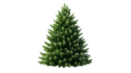 Realistic Christmas tree illustration for Xmas cards, New year party posters for 2025 and 2026, isolated on white background