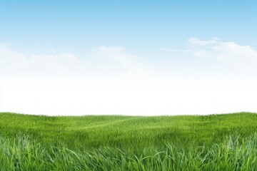 Fototapeta premium Field landscape border nature backgrounds grassland.