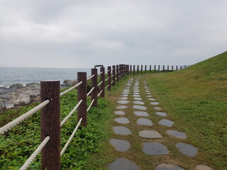 Fototapeta premium path to the sea