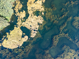Aerial view of the lake with the abstract over and under water vegetation
