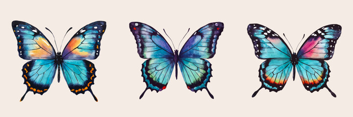 Butterflies vector illustration. Swallowtail butterfly collection in watercolor graphic style.