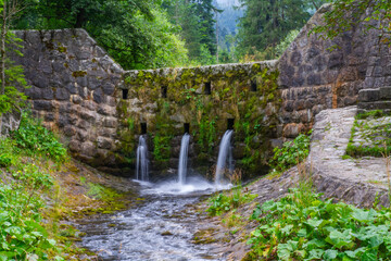 Waterfall in the forest. Mountain river in the forest. Beautiful waterfall in the forest.