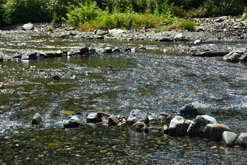 Obraz premium 澄んだ透明な川の水