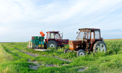 Fototapeta premium Two old tractors are in a field with many empty boxes for harvesting. Agriculture in Italy