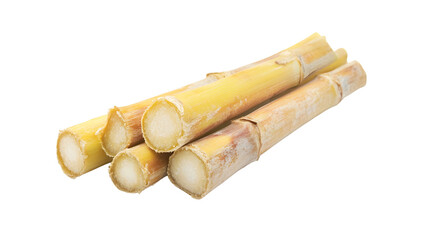 Sugar cane with clipping path and full depth of field, isolated on white background