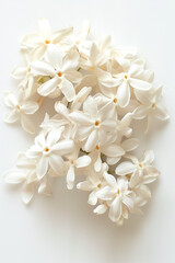 A delicate jasmine with soft white petals against a subtle background, exuding a serene and elegant charm.	